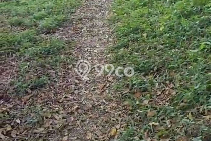 Dijual Tanah 30000m2 di Wanagiri, Buleleng Dijual Tanah 30000m2 di Wanagiri, Buleleng