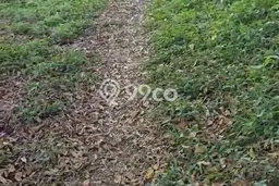 Dijual Tanah 30000m2 di Wanagiri, Buleleng Dijual Tanah 30000m2 di Wanagiri, Buleleng