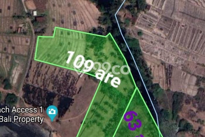 Tanah Dijual Lokasi Strategis di Tabanan dengan Luas 17200m2 Tanah Dijual Lokasi Strategis di Tabanan dengan Luas 17200m2