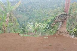 Lahan Dijual Lokasi Strategis di Buleleng dengan Luas 12000m2 Lahan Dijual Lokasi Strategis di Buleleng dengan Luas 12000m2