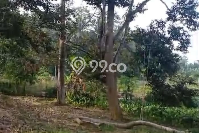 Lahan untuk Dijual Lokasi Tenggarong Seberang, Kutai Kartanegara Luas 12350m2 SHM Lahan untuk Dijual Lokasi Tenggarong Seberang, Kutai Kartanegara Luas 12350m2 SHM