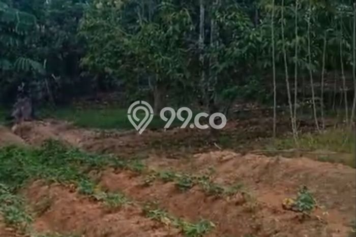Lahan untuk Dijual Lokasi Tenggarong Seberang, Kutai Kartanegara Luas 12350m2 SHM Lahan untuk Dijual Lokasi Tenggarong Seberang, Kutai Kartanegara Luas 12350m2 SHM