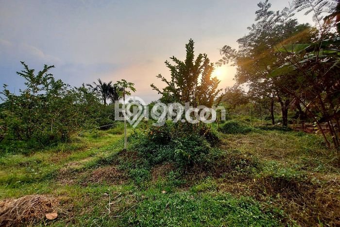 Tanah untuk Dijual Lokasi Cipayung, Depok Luas 2500m2 - Tanah untuk Dijual Lokasi Cipayung, Depok Luas 2500m2 -