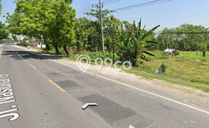 Dijual Tanah di Ngawi Ngawi Luas 5000m2 SHM Dijual Tanah di Ngawi Ngawi Luas 5000m2 SHM