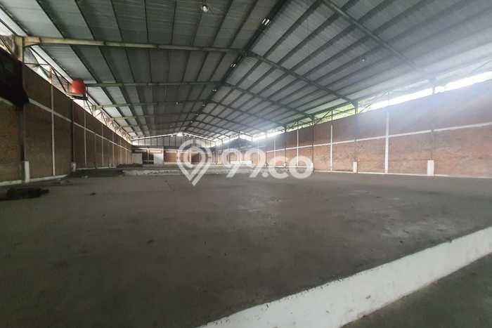 Unit Komersial Disewakan di Bogor Area Strategis Harga Kompetitif Unit Komersial Disewakan di Bogor Area Strategis Harga Kompetitif