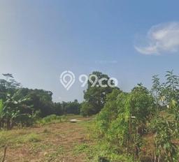 Lahan Investasi Lokasi Tenjo Bogor SHM Lahan Investasi Lokasi Tenjo Bogor SHM