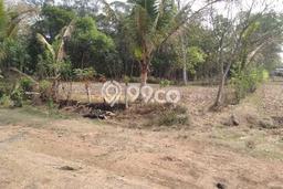 Kavling Tanah di Tigaraksa Dijual Luas 1988m2 Legalitas SHM Kavling Tanah di Tigaraksa Dijual Luas 1988m2 Legalitas SHM