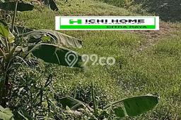 Tanah Strategis Dijual di Maja Lebak 1000m2 Tanah Strategis Dijual di Maja Lebak 1000m2