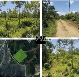 Lahan Dijual Lokasi Curugbitung, Lebak dengan Luas Tanah 11000m2 dan Status SHM Lahan Dijual Lokasi Curugbitung, Lebak dengan Luas Tanah 11000m2 dan Status SHM