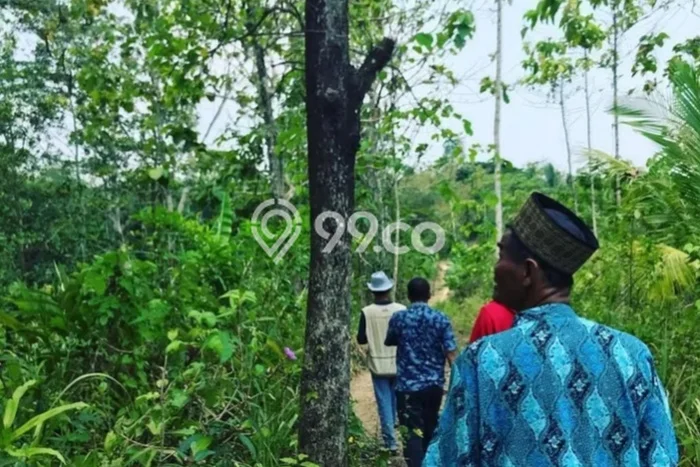 Kavling Tanah di Pandeglang Dijual Luas 340300m2 Legalitas - Kavling Tanah di Pandeglang Dijual Luas 340300m2 Legalitas -