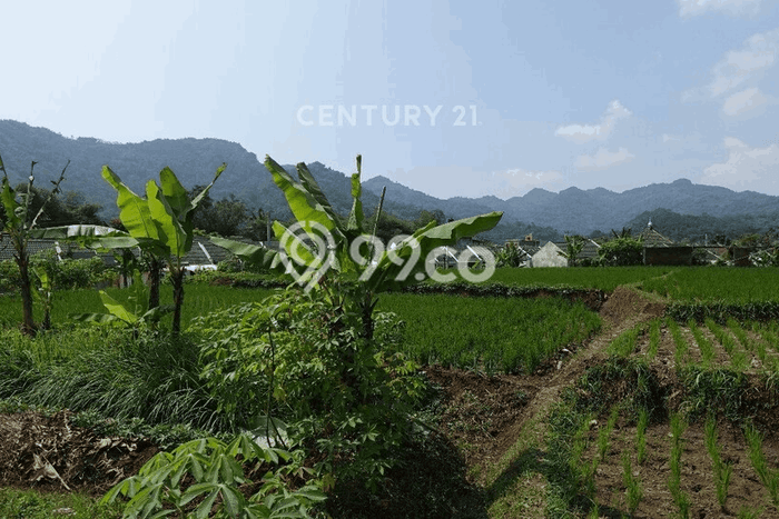 Kavling Tanah di Banjaran Dijual Luas 1456m2 Legalitas SHM Kavling Tanah di Banjaran Dijual Luas 1456m2 Legalitas SHM
