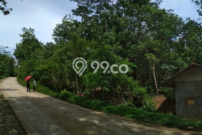 Untuk Dijual Tanah di Rangkasbitung Lebak Luas 14000m2 AJB Untuk Dijual Tanah di Rangkasbitung Lebak Luas 14000m2 AJB