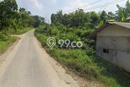 Untuk Dijual Tanah di Rangkasbitung Lebak Luas 14000m2 AJB Untuk Dijual Tanah di Rangkasbitung Lebak Luas 14000m2 AJB