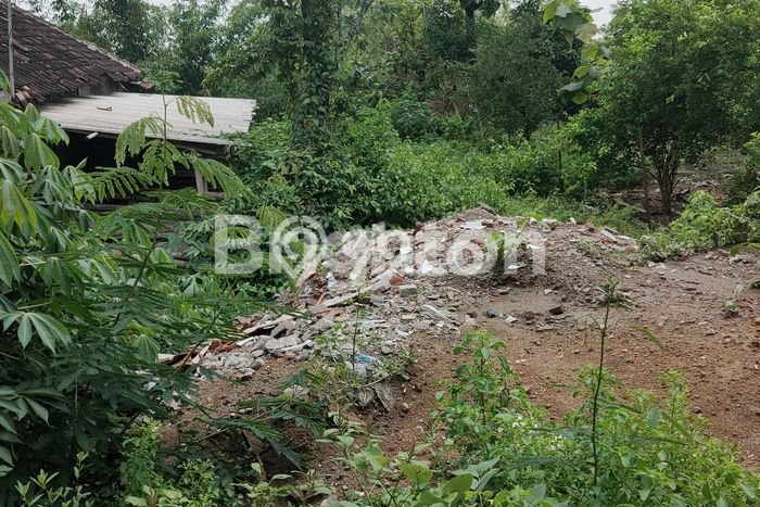 Kavling Tanah di Gondangrejo Dijual Luas 432m2 Legalitas SHM Kavling Tanah di Gondangrejo Dijual Luas 432m2 Legalitas SHM