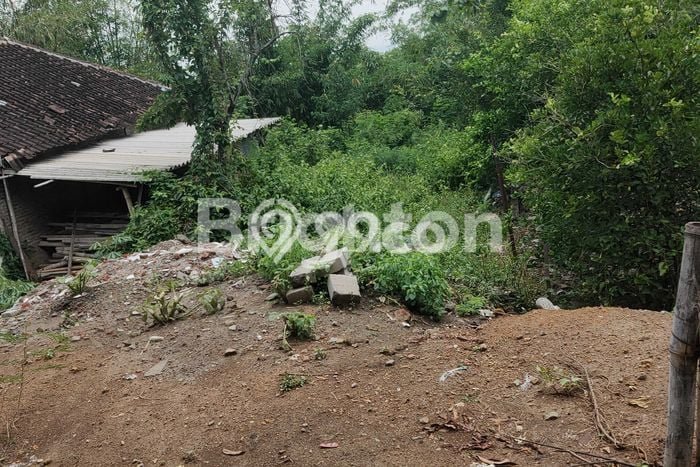 Kavling Tanah di Gondangrejo Dijual Luas 432m2 Legalitas SHM Kavling Tanah di Gondangrejo Dijual Luas 432m2 Legalitas SHM