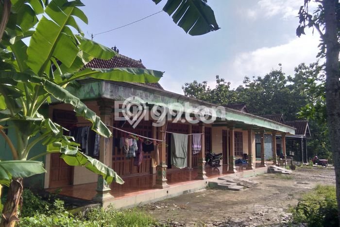 Jual Rumah Harga Miring Ngemplak Punya 3 Kamar & LT 598m2 Jual Rumah Harga Miring Ngemplak Punya 3 Kamar & LT 598m2