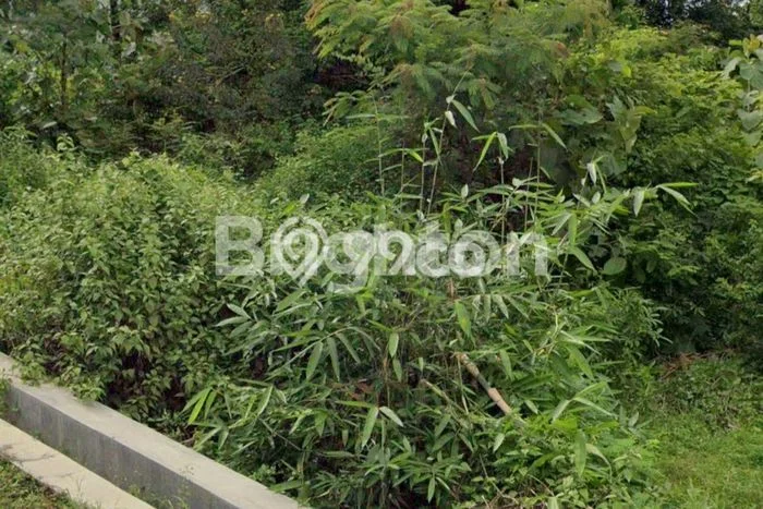 Kavling Tanah Dijual di Wonogiri Wonogiri Spesifikasi 837m2 Kavling Tanah Dijual di Wonogiri Wonogiri Spesifikasi 837m2