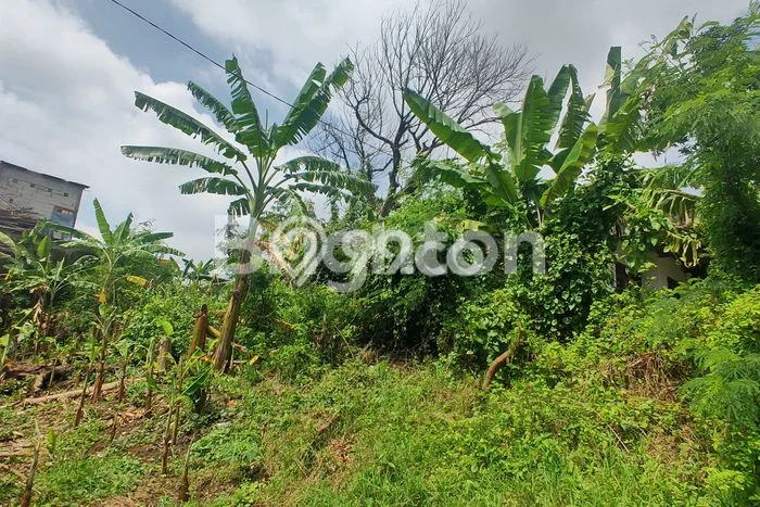 Tanah Dijual di Surakarta Seluas 284m2 Strategis Tanah Dijual di Surakarta Seluas 284m2 Strategis