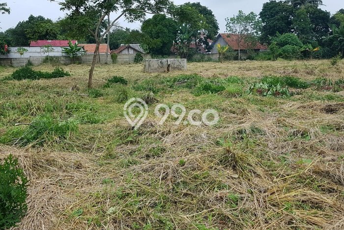 Jarang Ada! Tanah di Cisauk Punya Luas 4m2 SHM Jarang Ada! Tanah di Cisauk Punya Luas 4m2 SHM