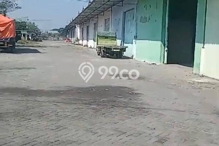Gudang Disewakan Cepat di Jatirejo Mojokerto LB 500m2 Gudang Disewakan Cepat di Jatirejo Mojokerto LB 500m2