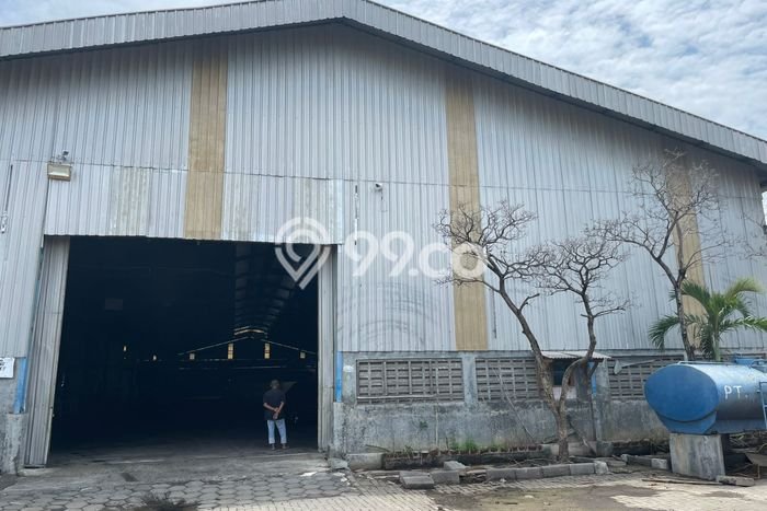 Gudang disewakan lokasi strategis Kaliwungu Kendal 5000m2 Gudang disewakan lokasi strategis Kaliwungu Kendal 5000m2