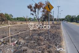 Lahan untuk Disewakan di Demak Demak SHM Lahan untuk Disewakan di Demak Demak SHM