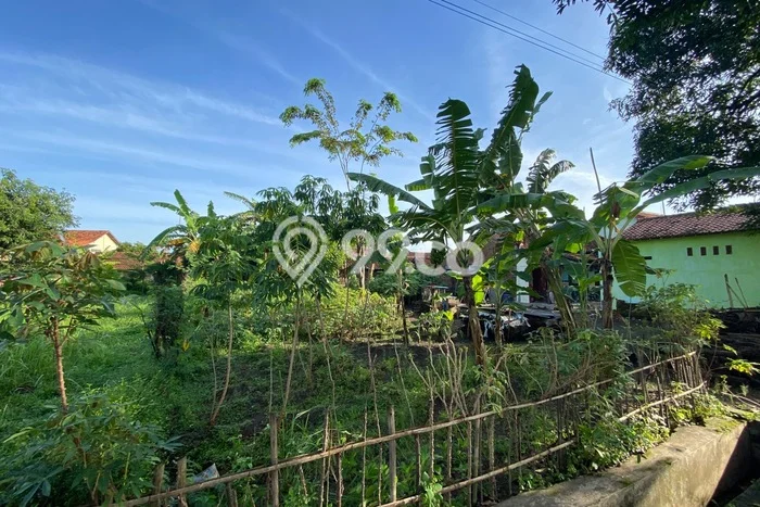Jarang Ada! Tanah di Lebaksiu Punya Luas 210m2 SHM Jarang Ada! Tanah di Lebaksiu Punya Luas 210m2 SHM
