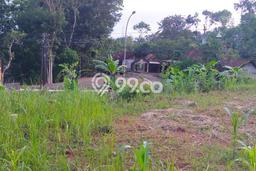 Tanah Dijual Lokasi Dlingo, Bantul Luas 5100m2 Legalitas Aman Tanah Dijual Lokasi Dlingo, Bantul Luas 5100m2 Legalitas Aman
