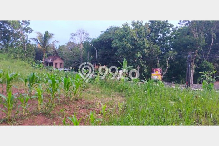 Tanah Kavling di Dlingo Dijual dengan Luas 5100m2 Tanah Kavling di Dlingo Dijual dengan Luas 5100m2