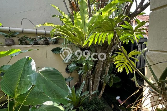 Rumah di , Sleman, Luas 360m2m² LB 147m2m² Rumah di , Sleman, Luas 360m2m² LB 147m2m²