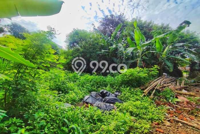 Tanah Area Potensial Kawasan Jatiwaringin, Luas 391m², Lingkungan Nyaman, Akses Jatiwaringin, Jakarta Timur, Jakarta Timur Tanah Area Potensial Kawasan Jatiwaringin, Luas 391m², Lingkungan Nyaman, Akses Jatiwaringin, Jakarta Timur, Jakarta Timur