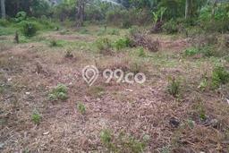 Tanah untuk Dijual di Jati Agung Lampung Selatan Luas 1200m2 Tanah untuk Dijual di Jati Agung Lampung Selatan Luas 1200m2