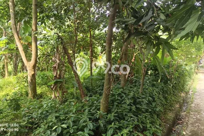 Kavling Tanah untuk Dijual di Cimuning, Bekasi, Luas 440m2 Kavling Tanah untuk Dijual di Cimuning, Bekasi, Luas 440m2