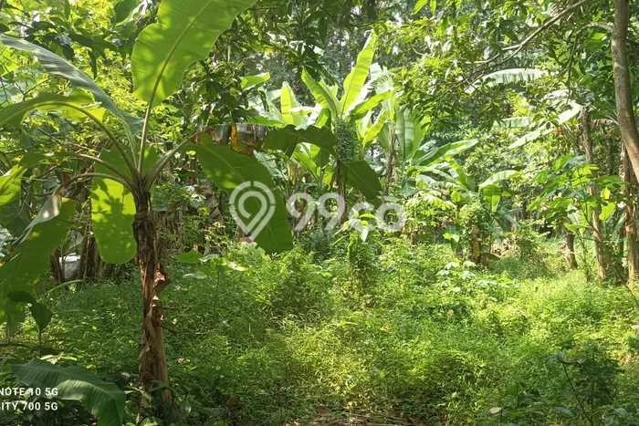Kavling Tanah untuk Dijual di Cimuning, Bekasi, Luas 440m2 Kavling Tanah untuk Dijual di Cimuning, Bekasi, Luas 440m2