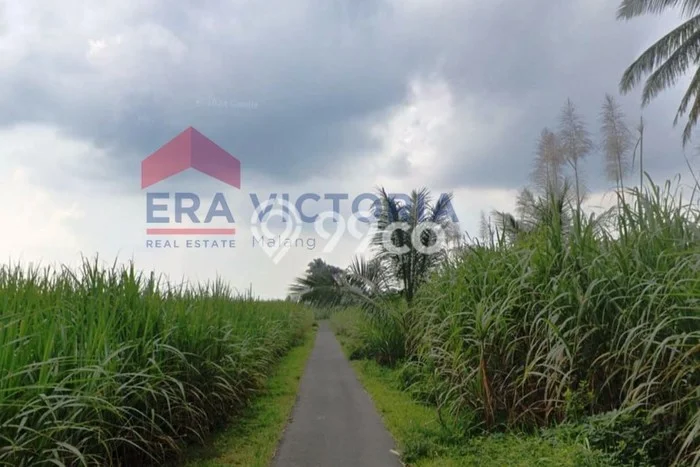 Tanah di Gondanglegi, Malang Luas 6850m2 Dijual Segera Tanah di Gondanglegi, Malang Luas 6850m2 Dijual Segera