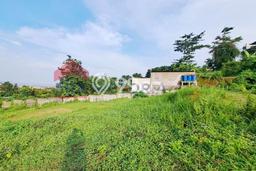 Tanah Kavling untuk Dijual di Dau Malang 3539m2 Tanah Kavling untuk Dijual di Dau Malang 3539m2