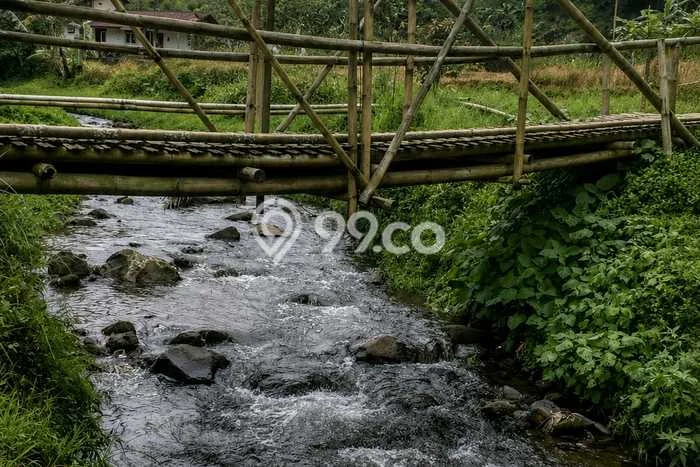 Jarang Ada! Tanah di Cipanas Punya Luas 5750m2 SHM Jarang Ada! Tanah di Cipanas Punya Luas 5750m2 SHM