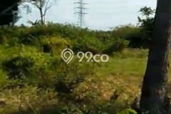 Jarang Ada! Tanah di Purworejo Punya Luas 1579m2 SHM Jarang Ada! Tanah di Purworejo Punya Luas 1579m2 SHM