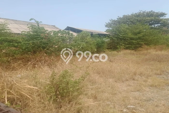 Tanah Dijual Lokasi Kebomas, Gresik dengan Luas Tanah 2400m2 dan Status SHM Tanah Dijual Lokasi Kebomas, Gresik dengan Luas Tanah 2400m2 dan Status SHM