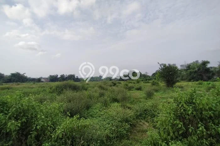 Kavling Tanah Dijual di Sukorejo Pasuruan Spesifikasi 14339m2 Kavling Tanah Dijual di Sukorejo Pasuruan Spesifikasi 14339m2