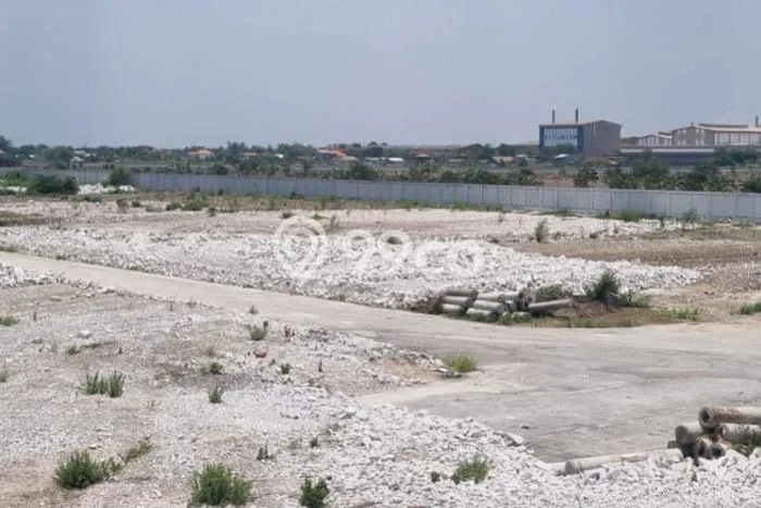 Lahan Kosong Dijual di Wringinanom, Gresik, Luas 85000m2 Area Strategis Lahan Kosong Dijual di Wringinanom, Gresik, Luas 85000m2 Area Strategis