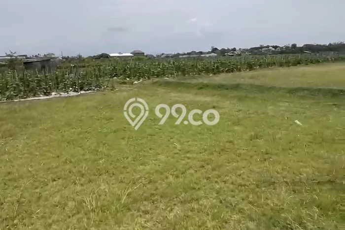Untuk Dijual Tanah di Ponorogo Ponorogo Luas 2984m2 SHM Untuk Dijual Tanah di Ponorogo Ponorogo Luas 2984m2 SHM