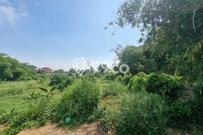 Tanah Strategis Dijual di Bojong Gede Bogor 7000m2 Tanah Strategis Dijual di Bojong Gede Bogor 7000m2