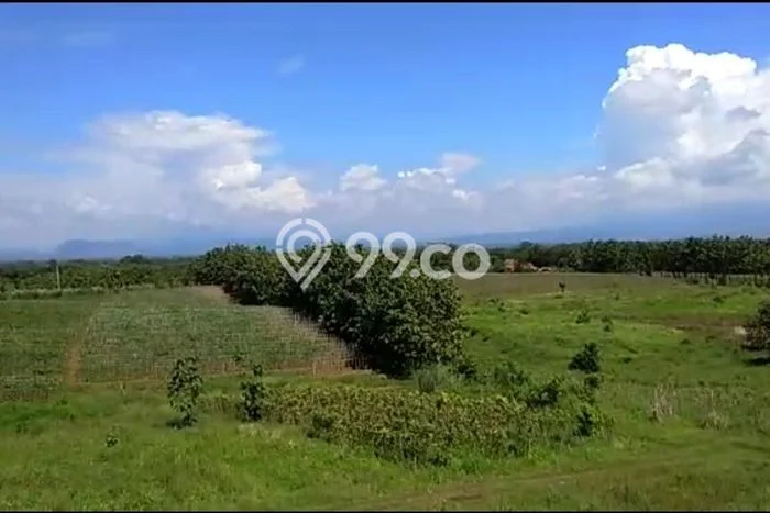 Tanah Strategis Dijual di Kertajati Majalengka 64000m2 Tanah Strategis Dijual di Kertajati Majalengka 64000m2