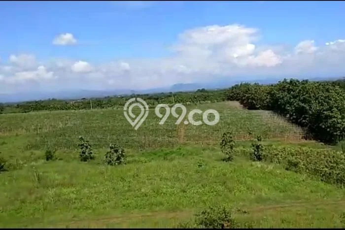 Tanah Strategis Dijual di Kertajati Majalengka 64000m2 Tanah Strategis Dijual di Kertajati Majalengka 64000m2