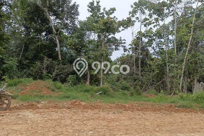 Kavling Tanah di Penajam Dijual Luas 780000m2 Legalitas - Kavling Tanah di Penajam Dijual Luas 780000m2 Legalitas -