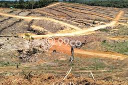 Tanah Kavling untuk Dijual di Sepaku Penajam Paser Utara 400m2 Tanah Kavling untuk Dijual di Sepaku Penajam Paser Utara 400m2