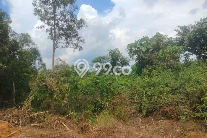 Dijual Tanah di Sepaku Penajam Paser Utara Luas 20000m2 - Dijual Tanah di Sepaku Penajam Paser Utara Luas 20000m2 -