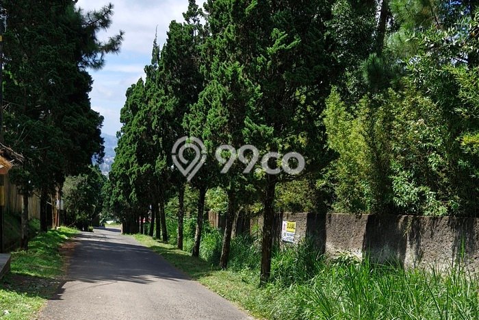 Tanah untuk Dijual Lokasi Lembang, Bandung Barat Luas 24000m2 SHM Tanah untuk Dijual Lokasi Lembang, Bandung Barat Luas 24000m2 SHM