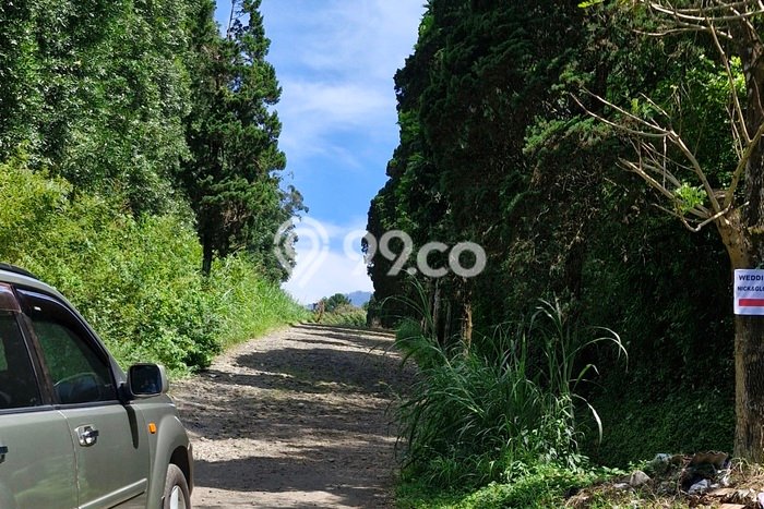 Tanah untuk Dijual Lokasi Lembang, Bandung Barat Luas 24000m2 SHM Tanah untuk Dijual Lokasi Lembang, Bandung Barat Luas 24000m2 SHM
